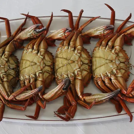 호텔 - Restaurante Casa Rosita 2*