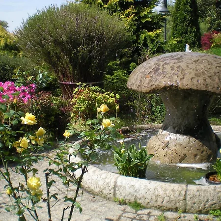 - Restaurante Casa Rosita