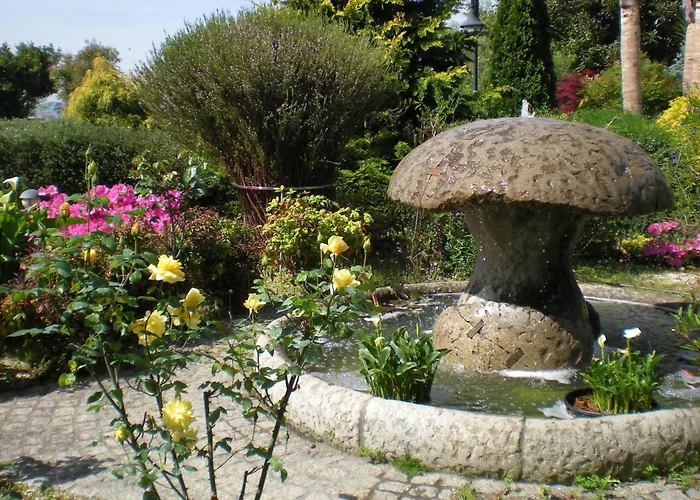 - Restaurante Casa Rosita